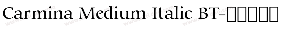 Carmina Medium Italic BT字体转换